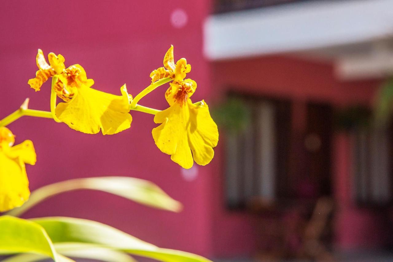Suítes Las Flores Maresias Exterior foto